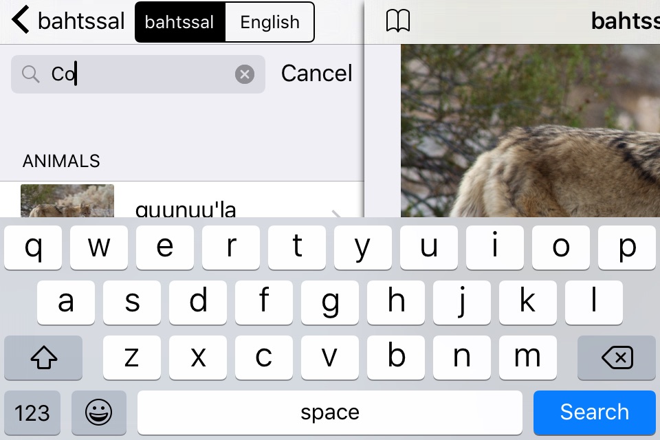 bahtssal Language - Intro screenshot 3