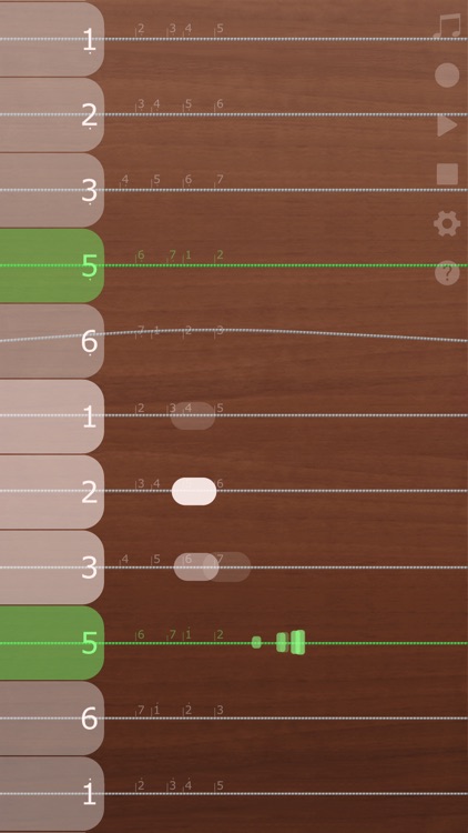 iGuzheng™⁺ screenshot-4
