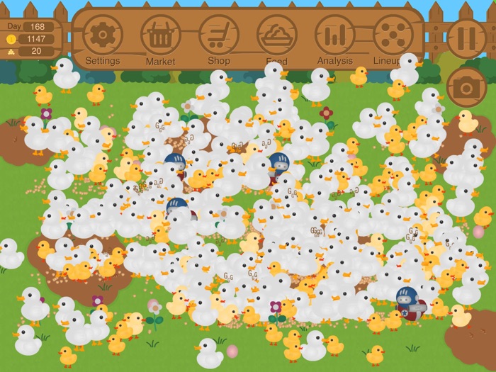 My Duck Farm