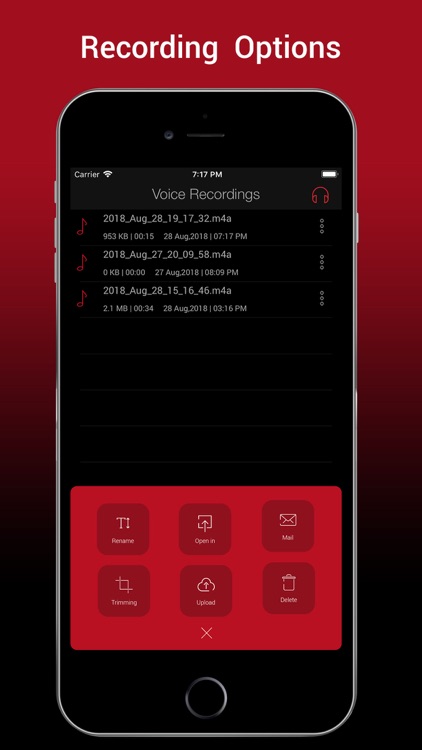 Voice Recorder HD Pro