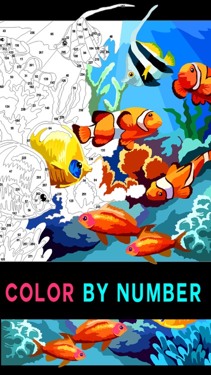 Color by Number Adult coloring