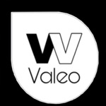 Valeo Serviços