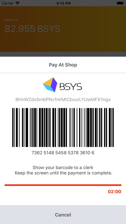 BSYS LIGHT WALLET screenshot-4