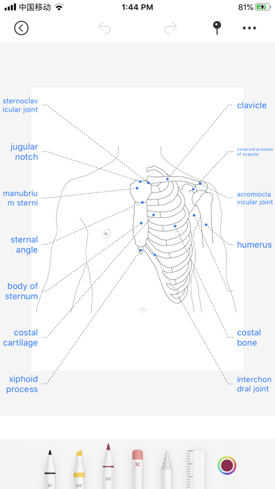 Body coloring book screenshot 3