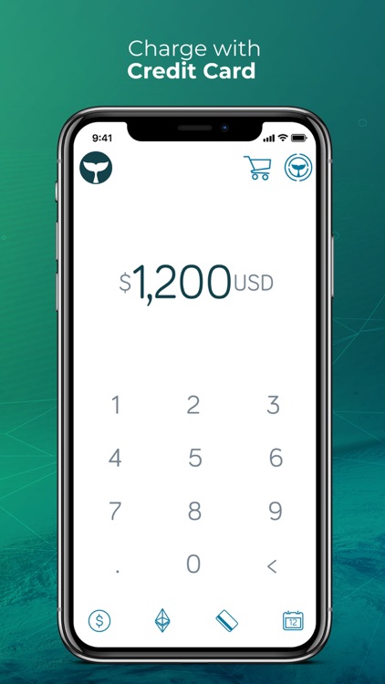 Beluga Pay