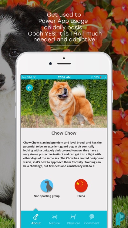 Pawer – All-In-One Dog App screenshot-7