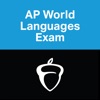AP World Languages Exam App