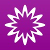 MathStudio MathStudio