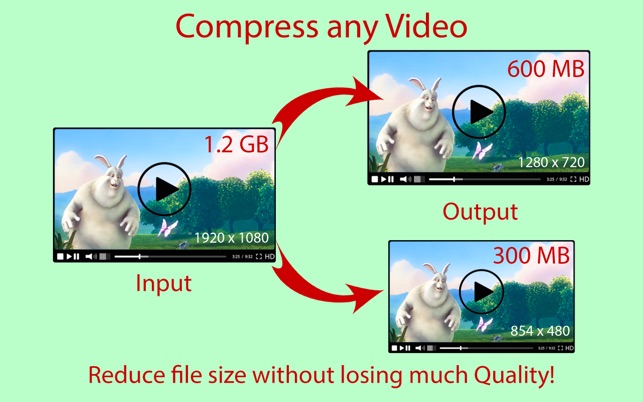 Compress Any Video