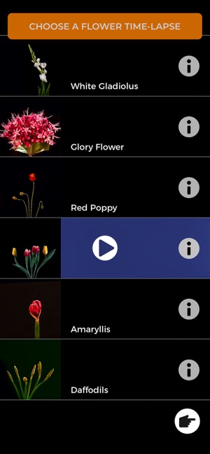 Moodlapse: focus on flowers(圖2)-速報App