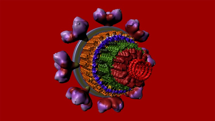 Bio Virus Structure in 3D