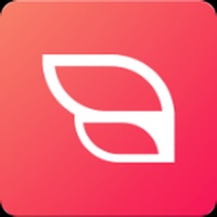 Cupidate - App de rencontre pour PC
