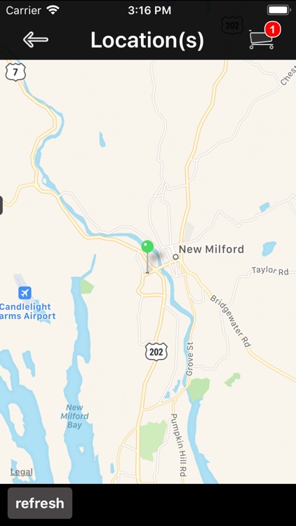 New Milford Pizza Station screenshot-4