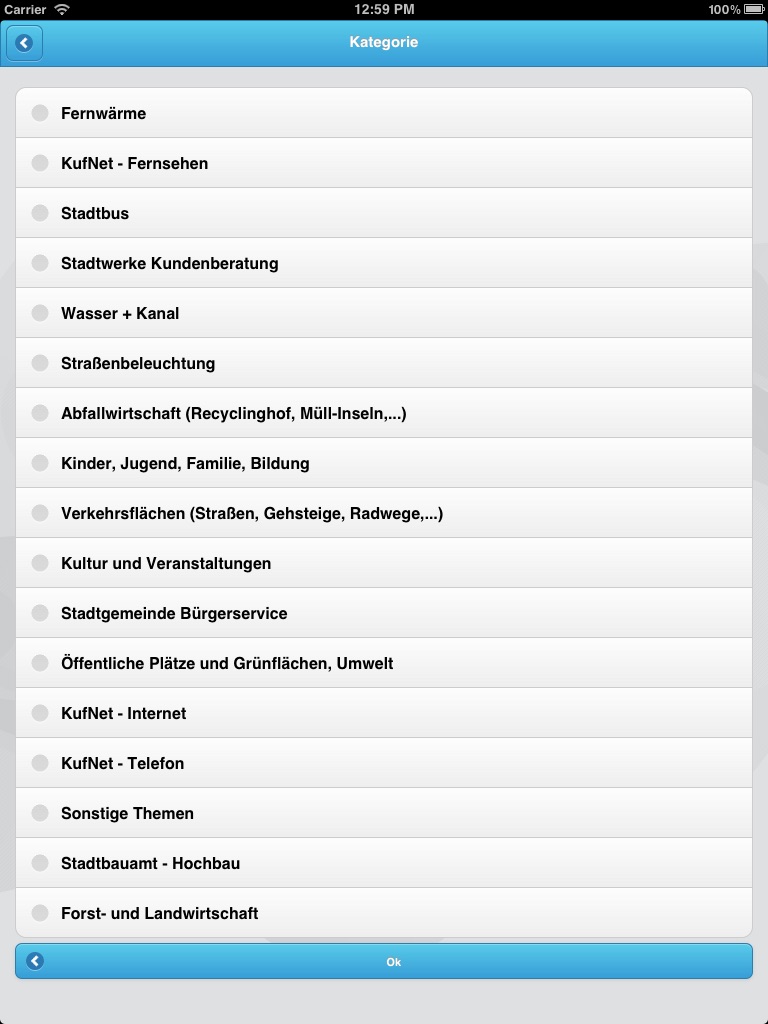 buergermeldungen.com screenshot 3