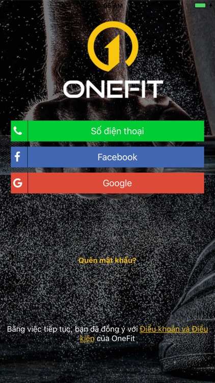 OneFit