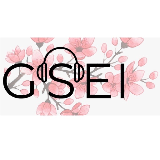 GSEI Radio