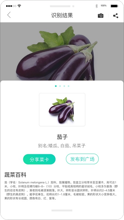 识菜君