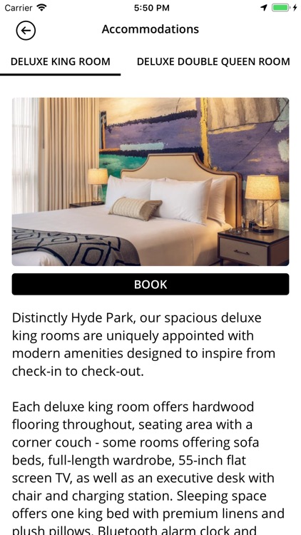 Sophy Hyde Park Hotel