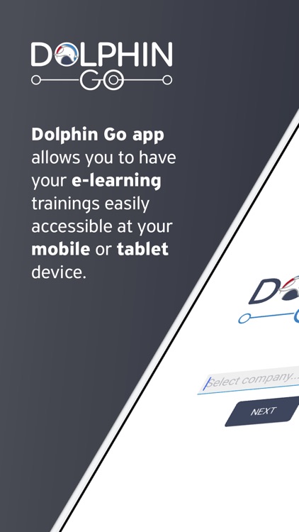 Dolphin Go