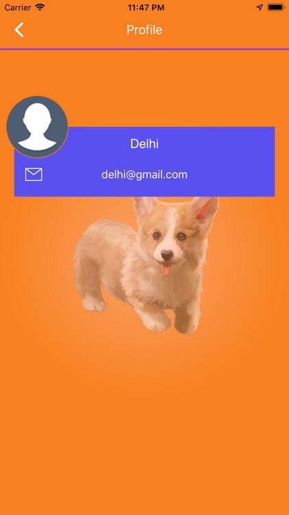 Delhi Pets screenshot-8