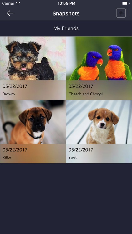 Pet Portal screenshot-3
