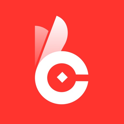 CashTally - Mobile Bookkeeping iOS App