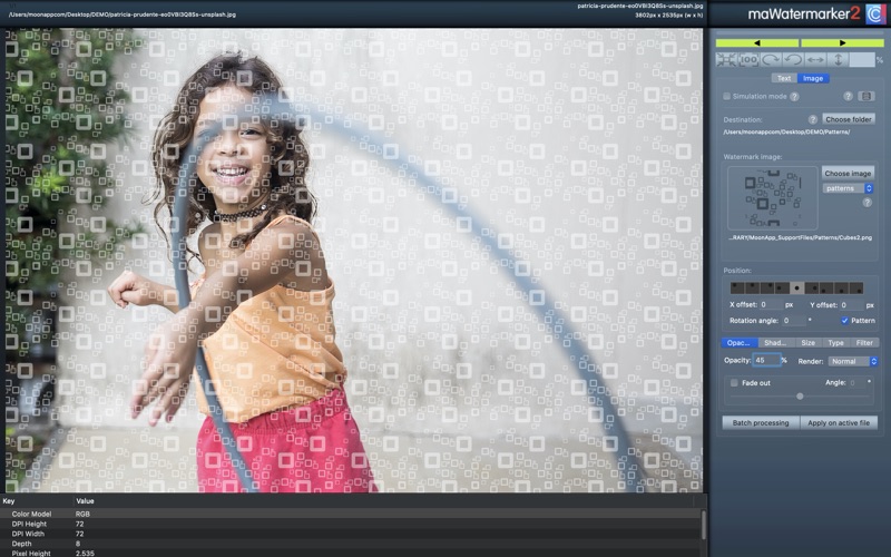 【图】maWatermarker2(截图1) 【图】maWatermarker2(截图1)