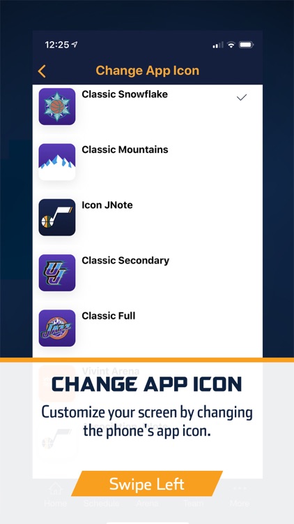 Utah Jazz + Vivint Arena