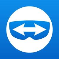 teamviewer pilot download for pc
