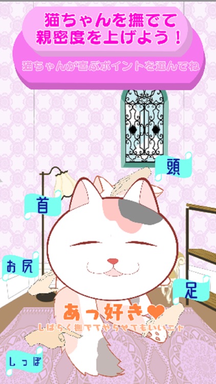 ねこらぶっ