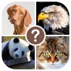 Animals quiz: guess the animal