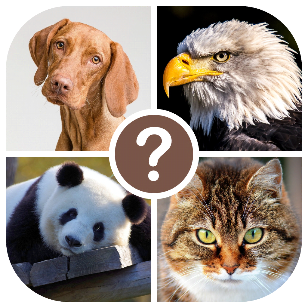 Get Animals quiz: guess the animal for iOS, iPhone, iPad Aso Report
