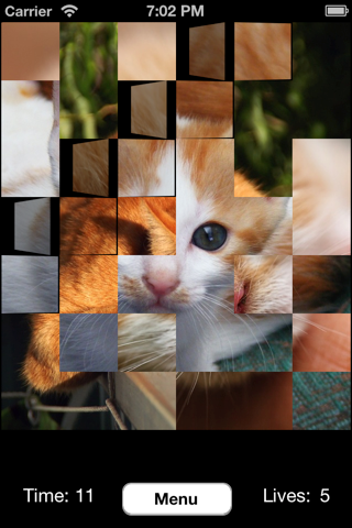 Flipping Fun - náhled