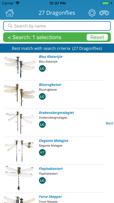 Dragonfly SA screenshot 2