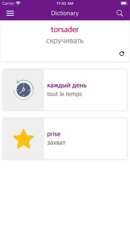 French-Russian Dictionary screenshot-5