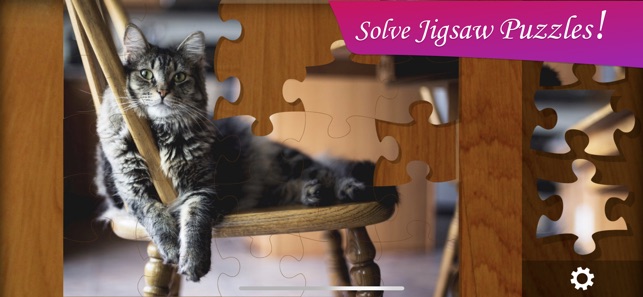 Jigsaw Puzzle Frenzy