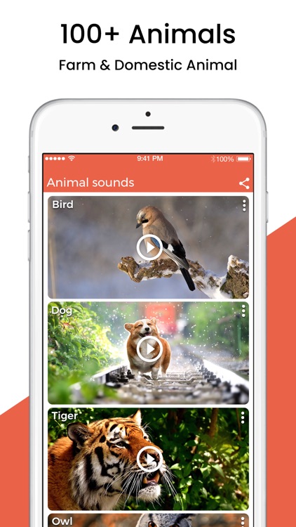 Animal Sound Ringtones