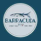 Barracudamatera