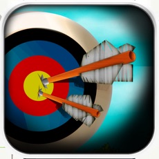 Activities of Elite Archery