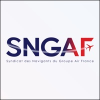 SNGAF sur PC