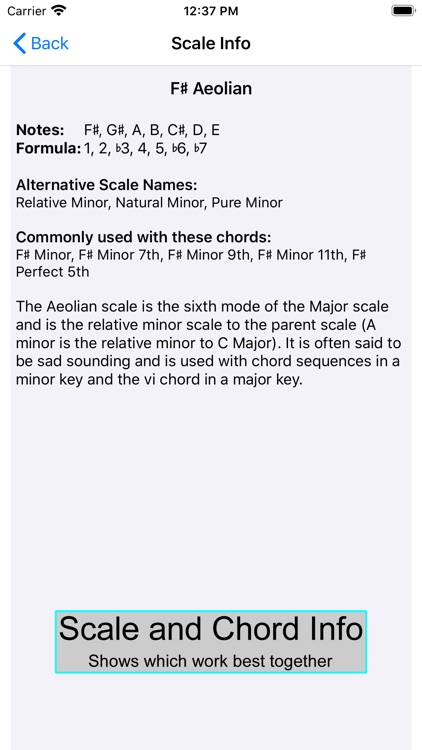 Guitar Scales & Chords Power screenshot-4
