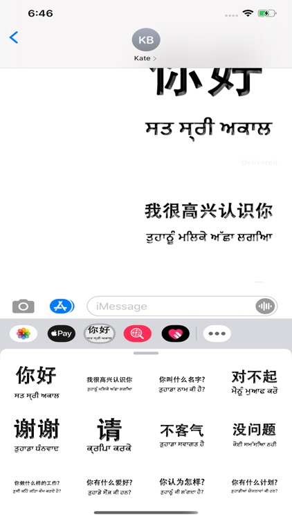 Punjabi Chinese screenshot-3