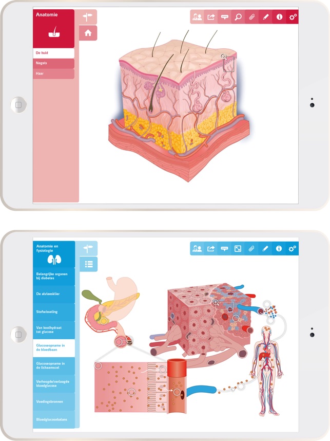 Zorgatlas(圖3)-速報App