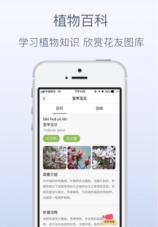 花伴侣-拍照识花精准植物识别应用 screenshot 4