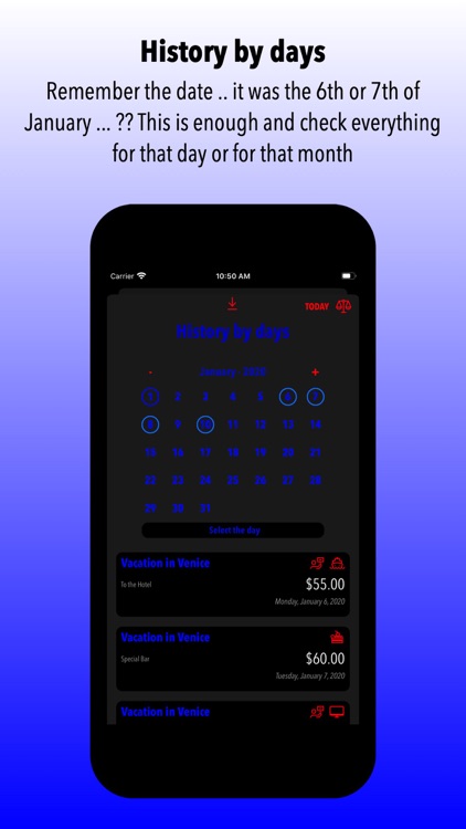 Micro Budget Manager screenshot-9