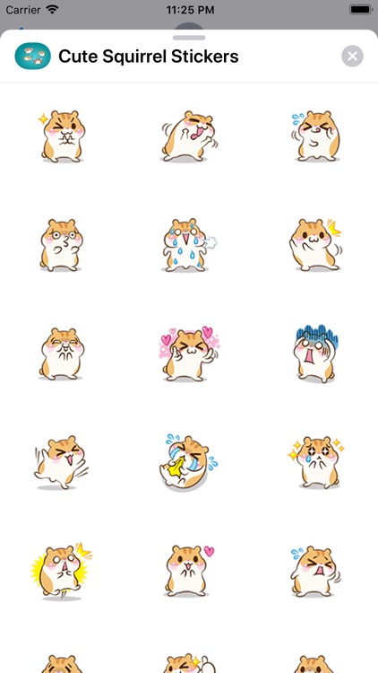 Cute Squirrel Stickers