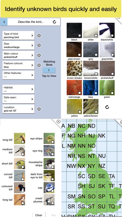 Birds of Britain Pro screenshot-5