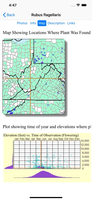 West Virginia Wildflowers(圖5)-速報App