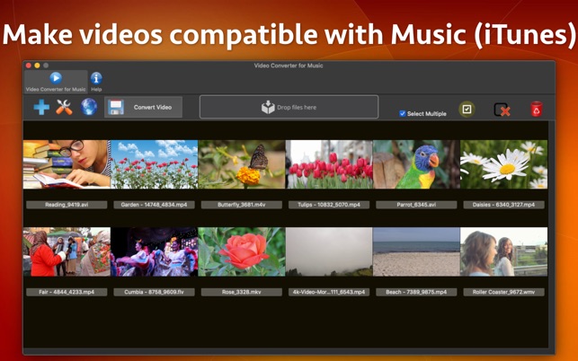 Video Converter for Music