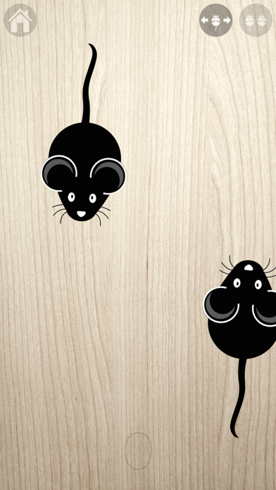 Game for cats! Screenshot 3